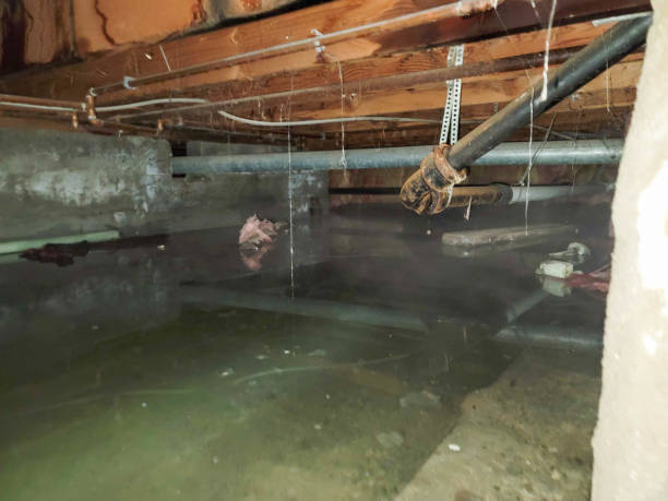  Hampton Bays, NY Water damage restoration Pros