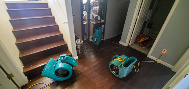 Best 24-hour water damage restoration  in Hampton Bays, NY