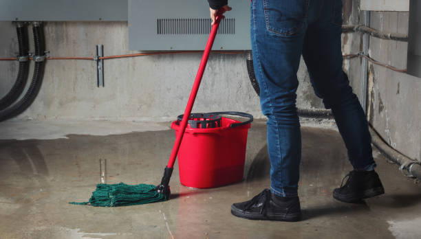 Best Mold removal after water damage  in Hampton Bays, NY