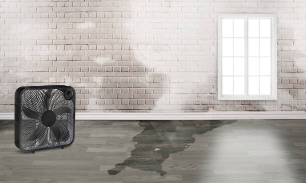 Best 24/7 water damage repair  in Hampton Bays, NY