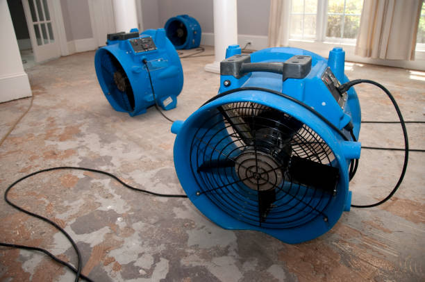 Best Residential water damage restoration  in Hampton Bays, NY