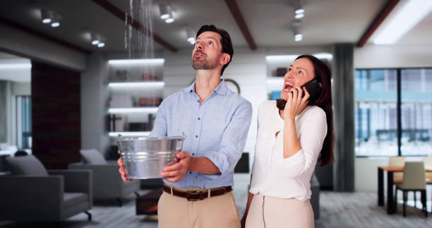 Best Carpet water damage restoration  in Hampton Bays, NY